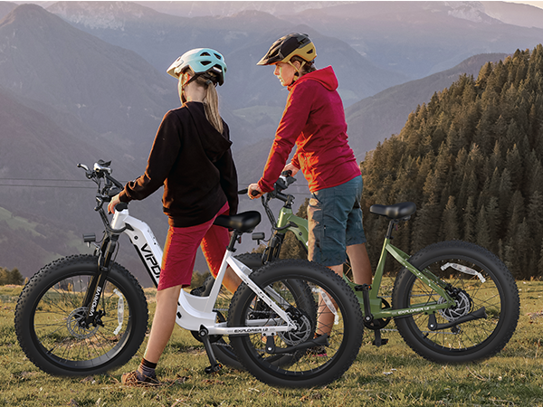 What are the brands of ebike?