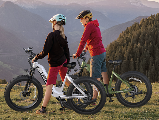 What are the brands of ebike?