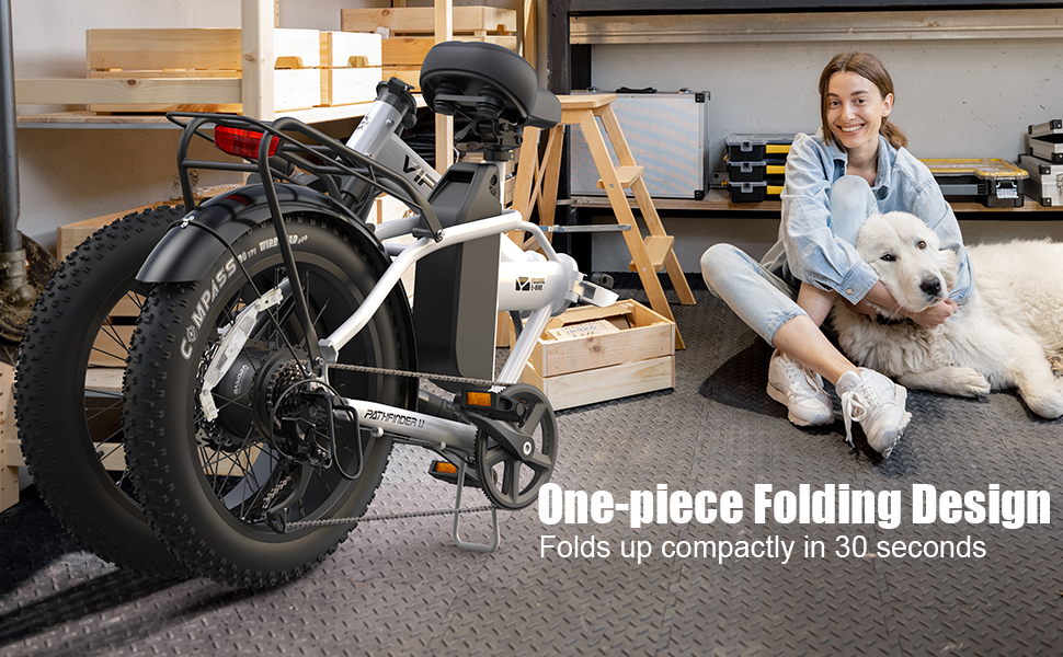 What are the disadvantages of e-bikes?