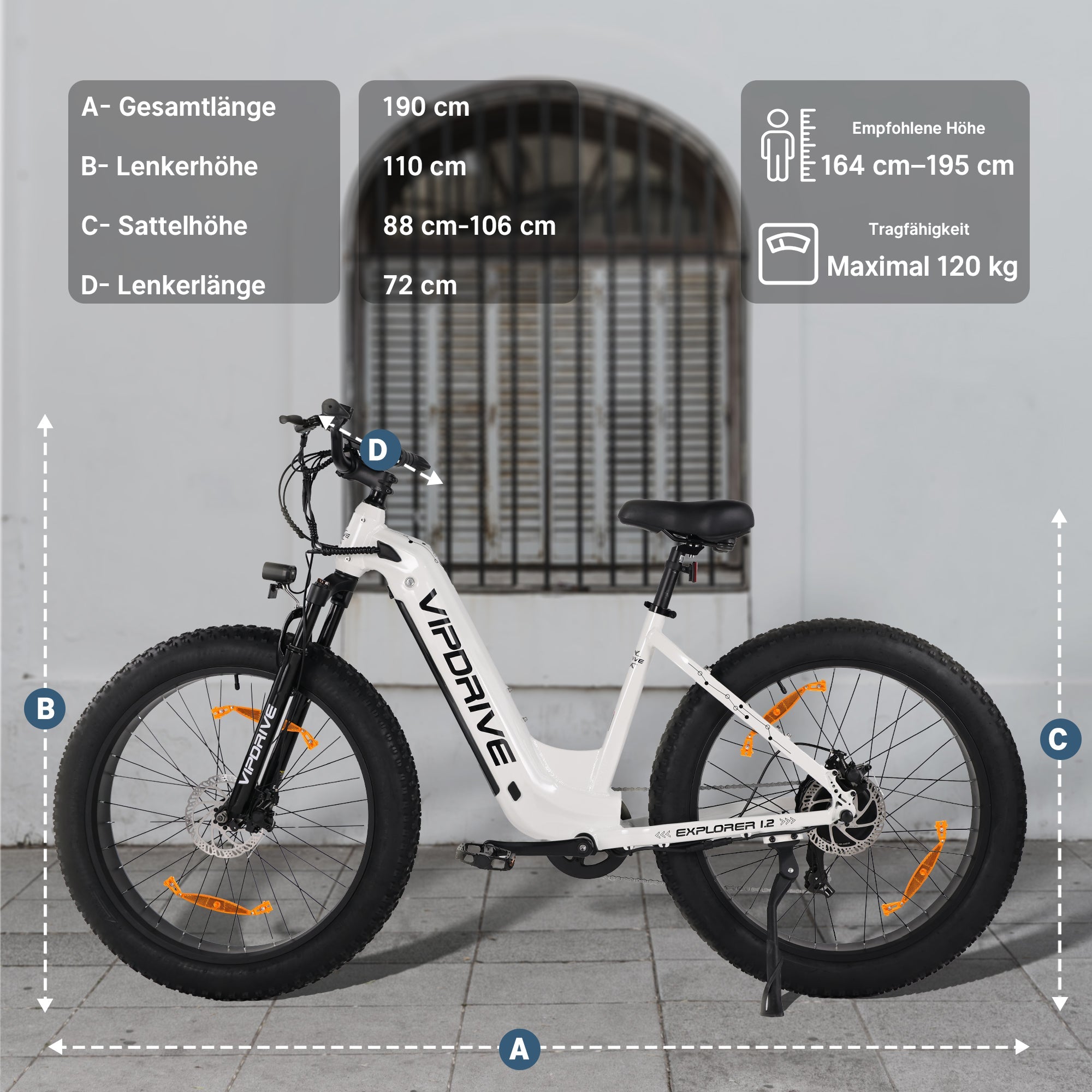 VIPDRIVE EXPLORER 1.2 Electric Bike