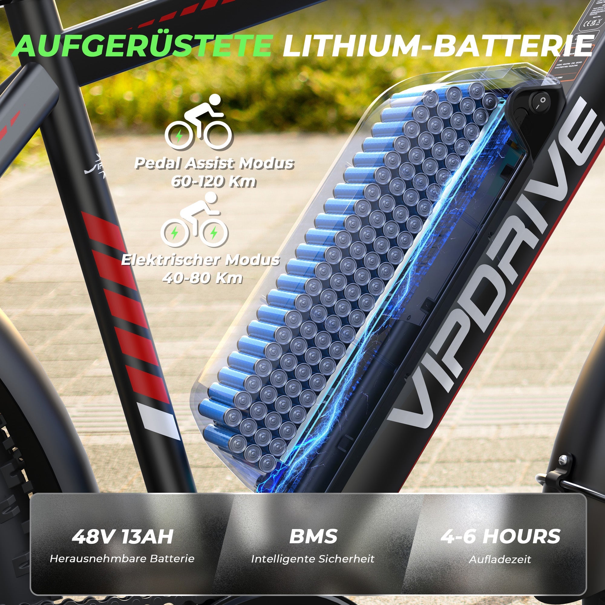 VIPDRIVE CLIMBER MINI 1.1 Electric Bike