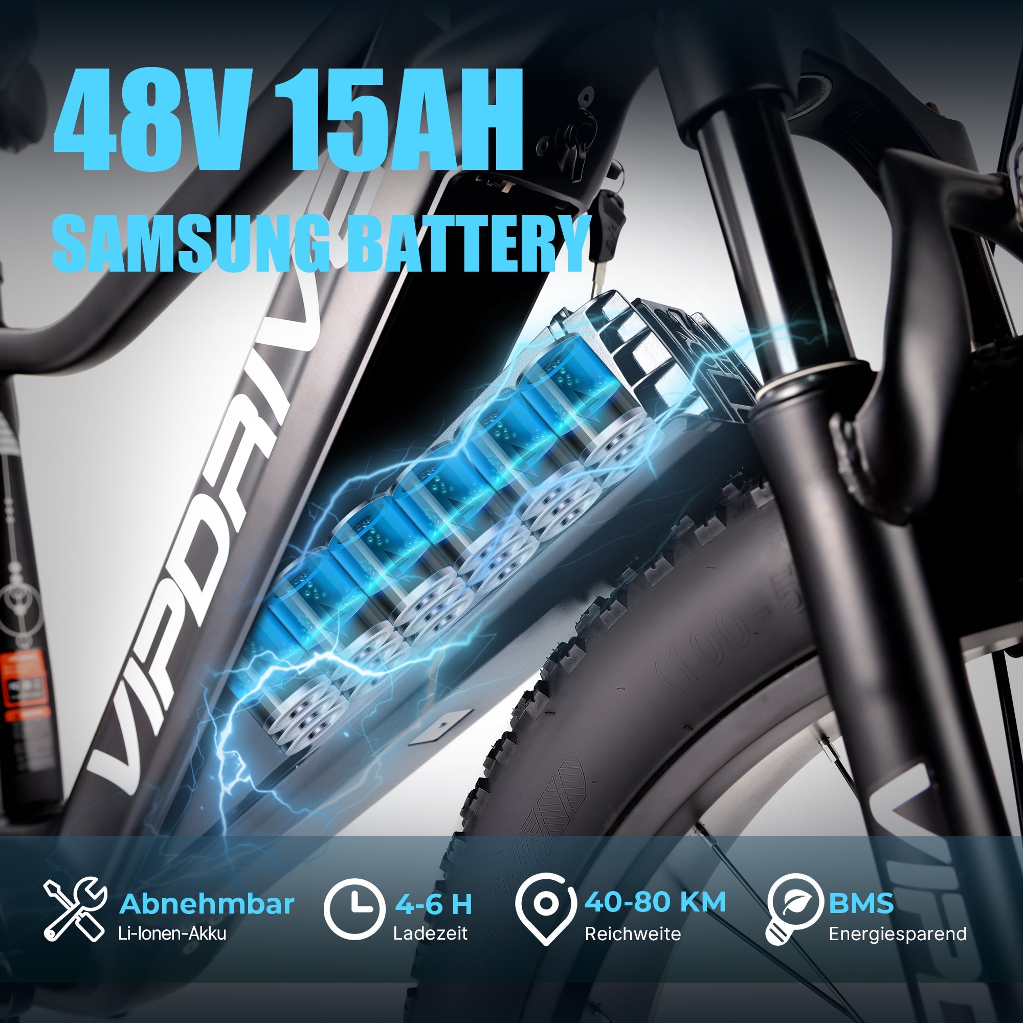 VIPDRIVE EXPLORER 1.1 Electric Bike
