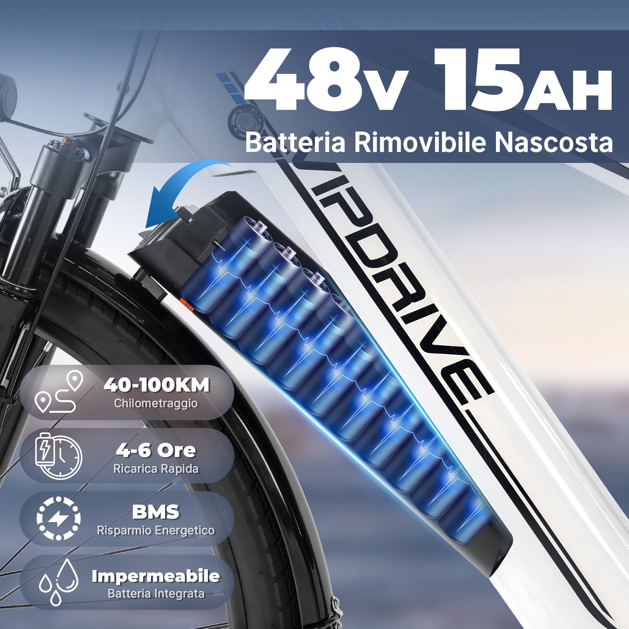 VIPDRIVE NAVIGATOR 1.1 Electric Bike