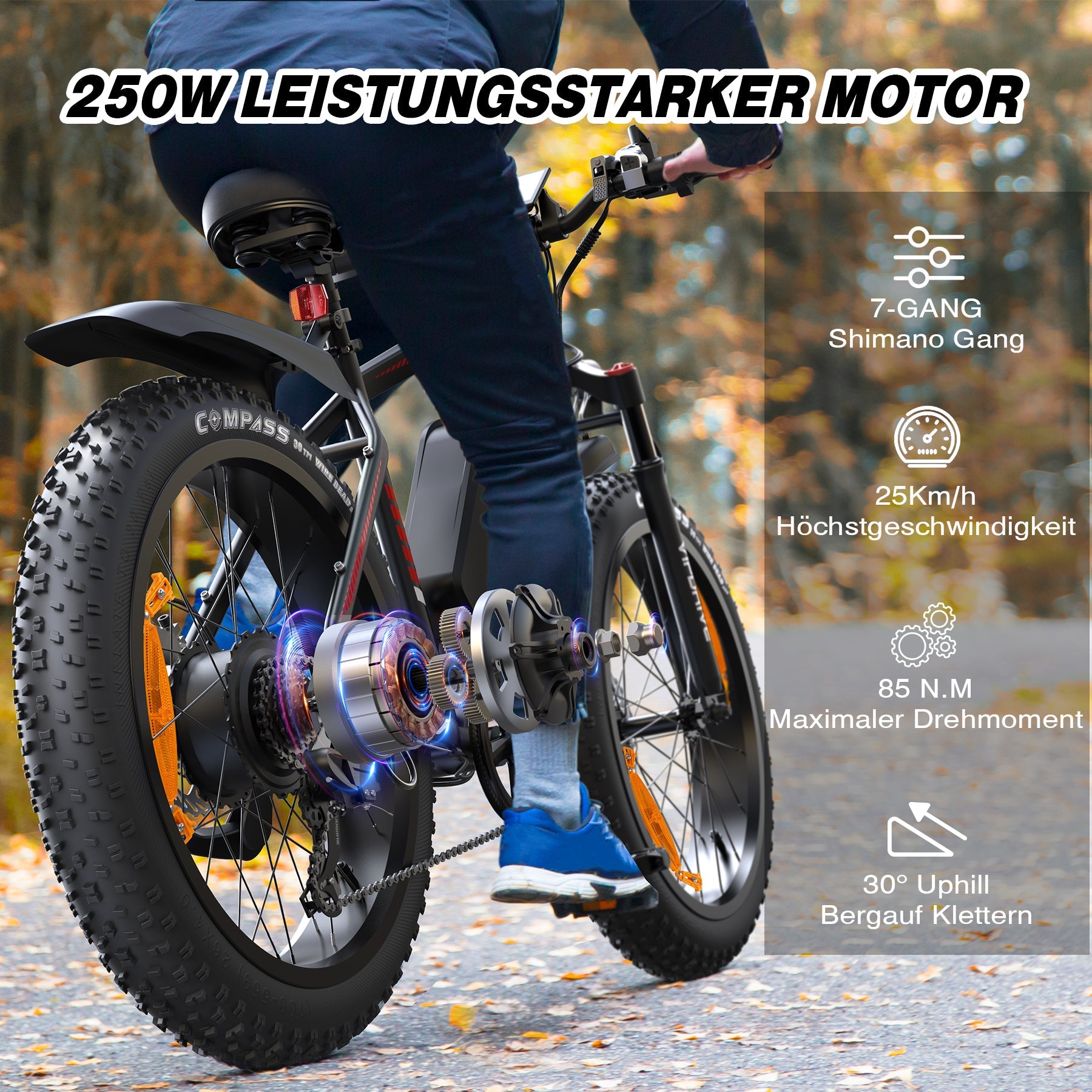 VIPDRIVE CLIMBER 1.1 Electric Bike
