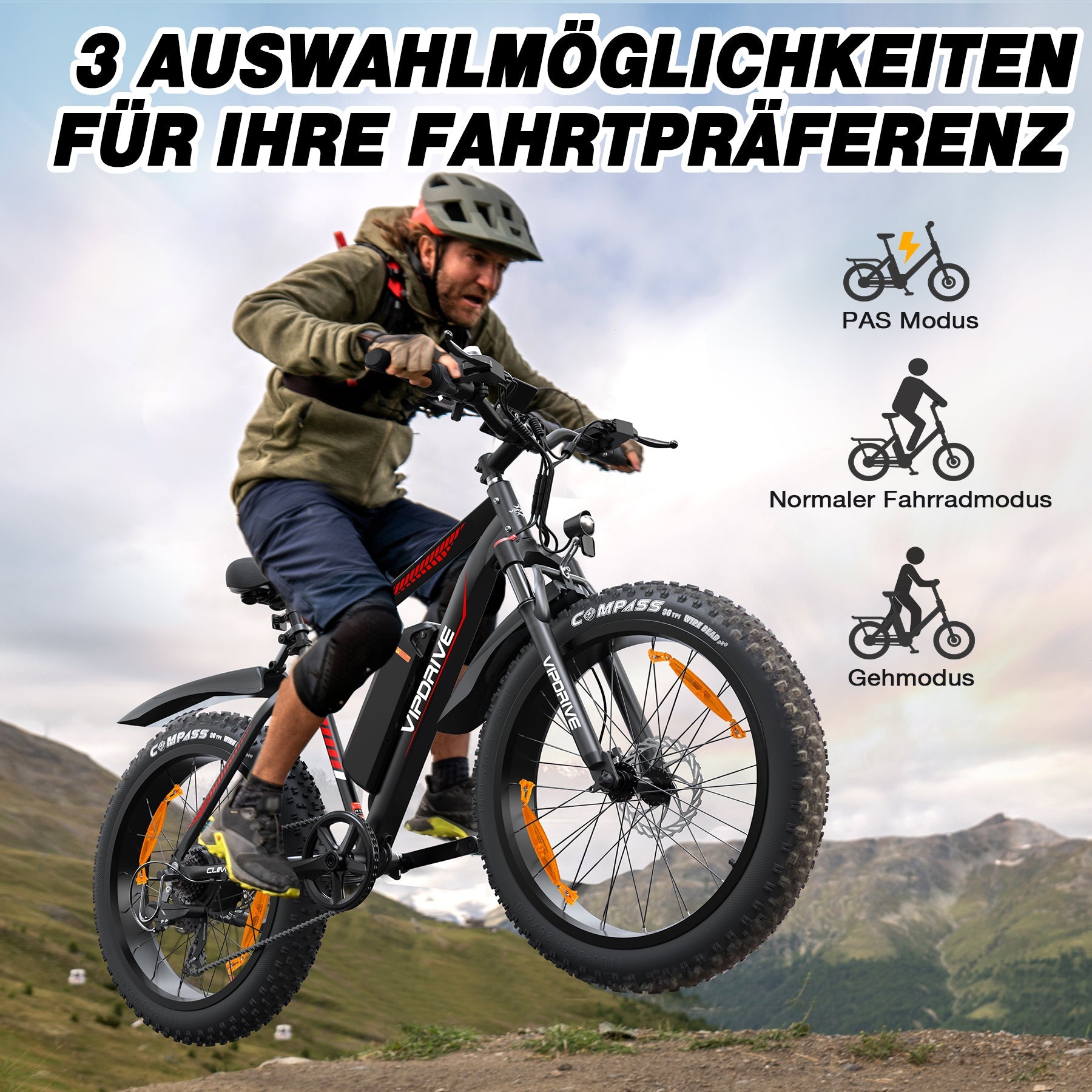 VIPDRIVE CLIMBER 1.1 Electric Bike