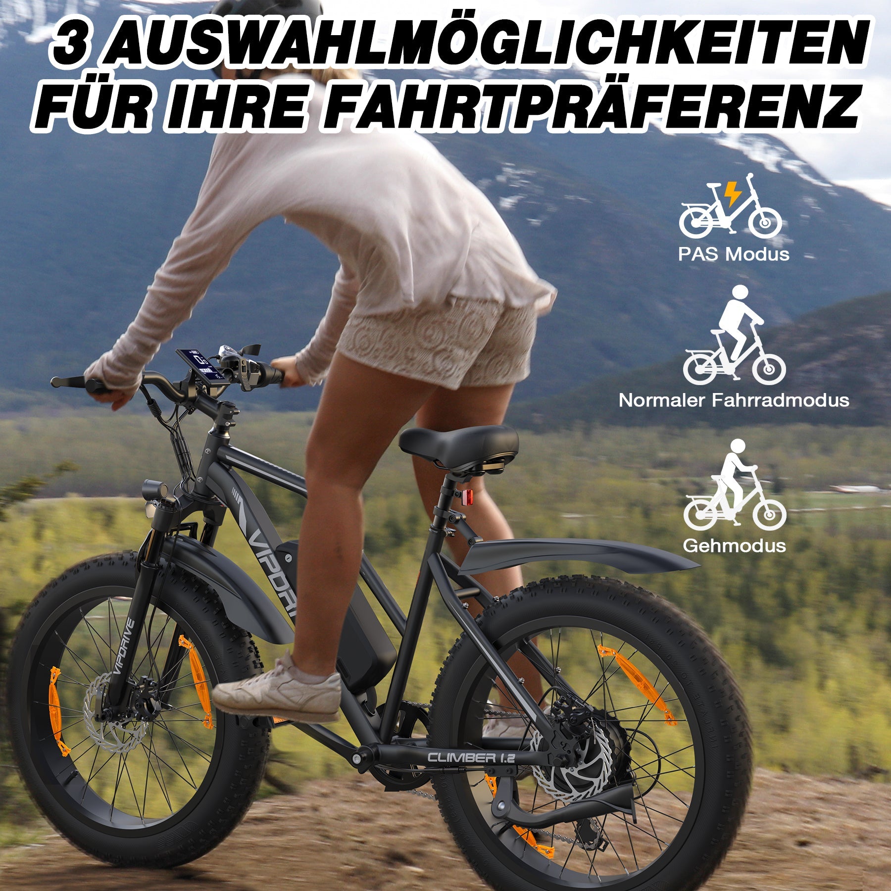 VIPDRIVE CLIMBER 1.2 Electric Bike