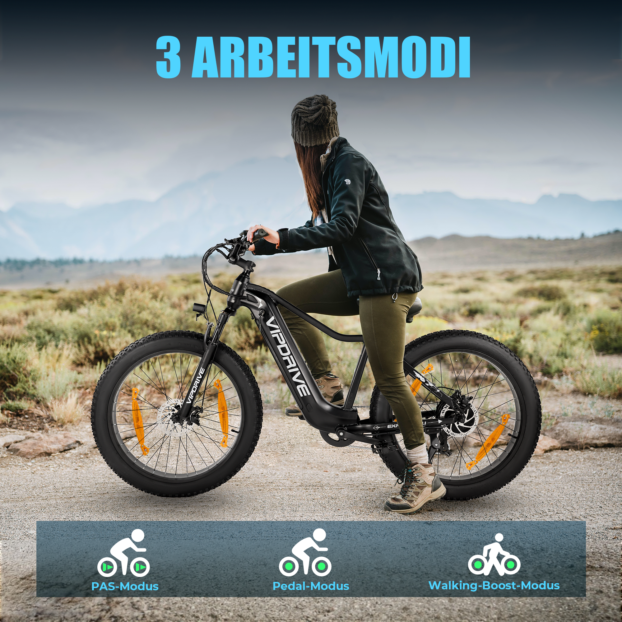 VIPDRIVE EXPLORER 1.1 Electric Bike