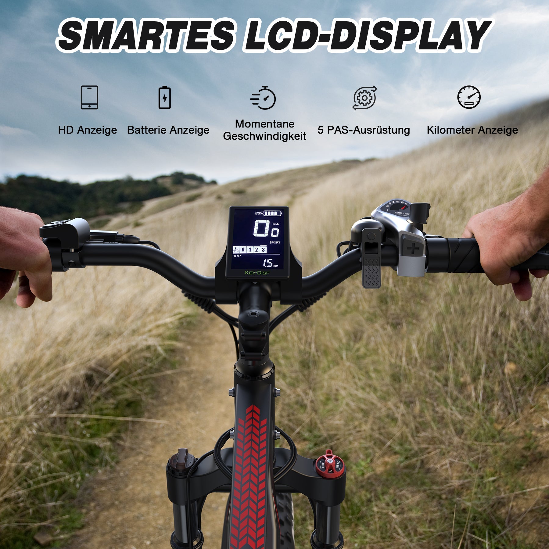 VIPDRIVE CLIMBER 1.1 Electric Bike