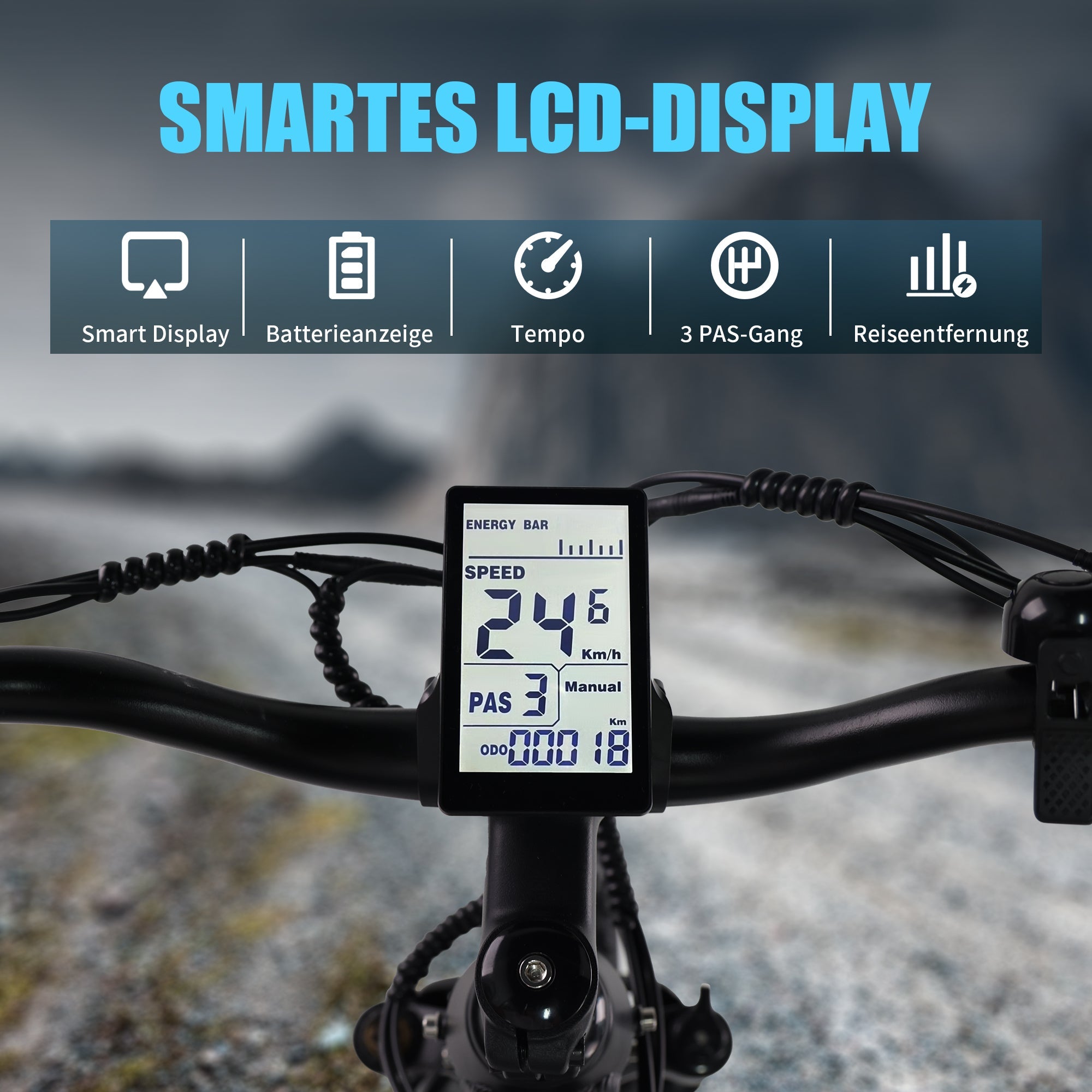 VIPDRIVE EXPLORER 1.1 Electric Bike
